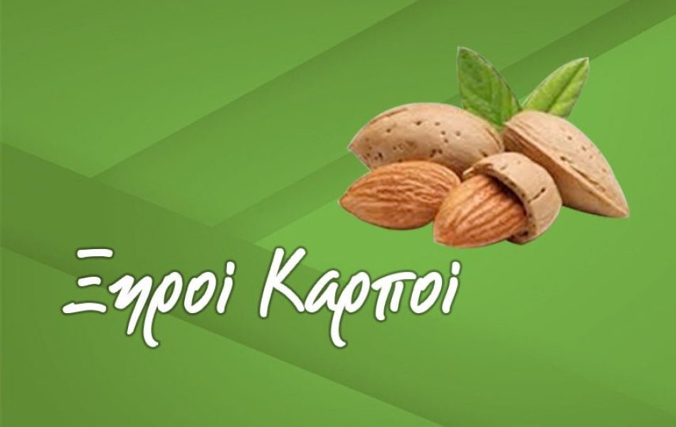 xontrikis-polisis-KSHROI-KARPOI_proionta-big xontrikis-polisis-KSHROI-KARPOI_proionta-big